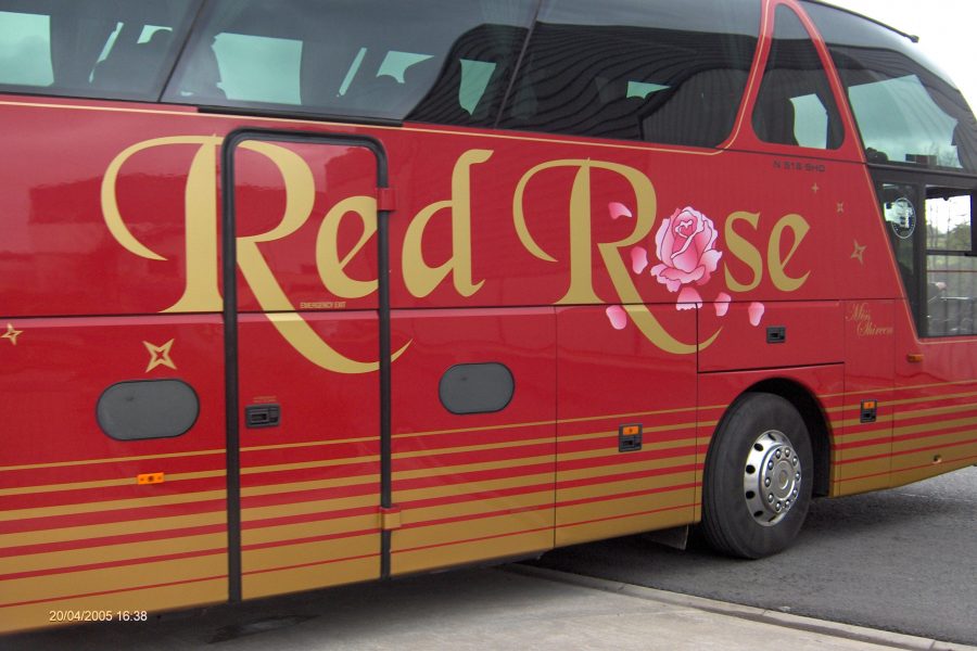 Red Rose